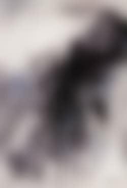 Composition 157 (preview)