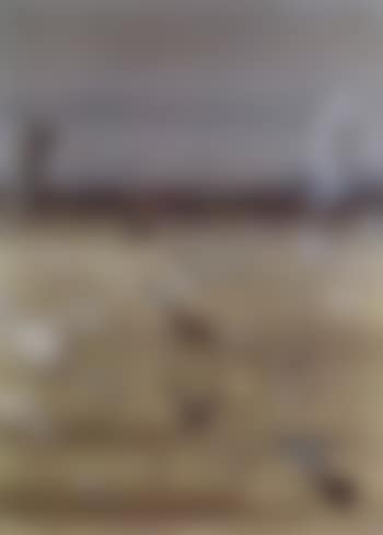 Paysage surrealiste (preview)