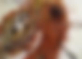 Feu (preview)