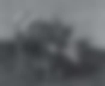 Oxen (preview)