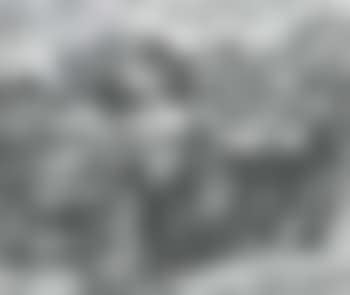 Fugitives (preview)