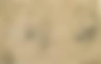 Study of heads of two young men looking up (preview)