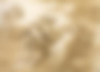 Putti among clouds (preview)