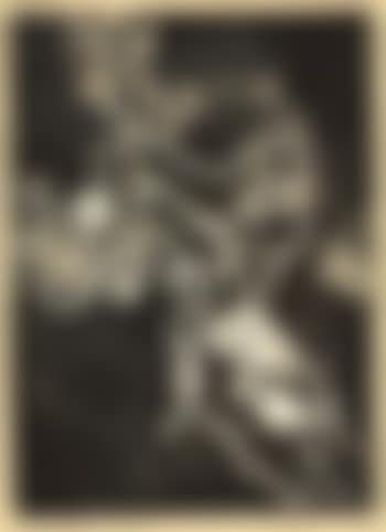 From gentle things (preview)