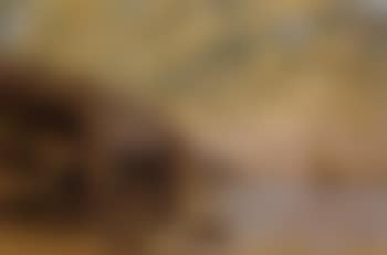 Chateau de Chillon (preview)