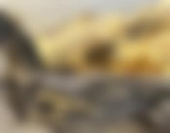 Engadin winter landscape (preview)