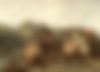 Fair in St Goar with view of St Goarhausen (preview)