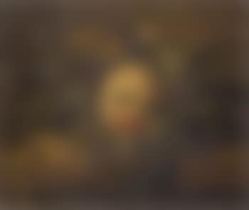 Still life with fruit and a kingfisher on a ledge (preview)