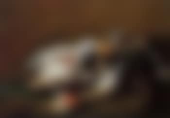 Nature morte aux oiseaux (preview)