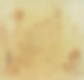 Brothel (preview)