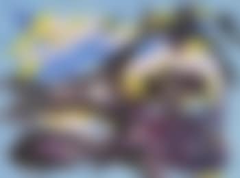Untitled (preview)