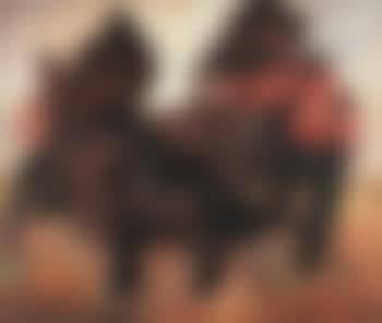 Stallions (preview)
