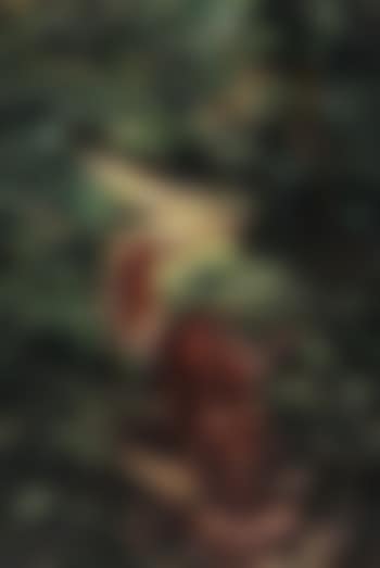 Tiger in landscape (preview)