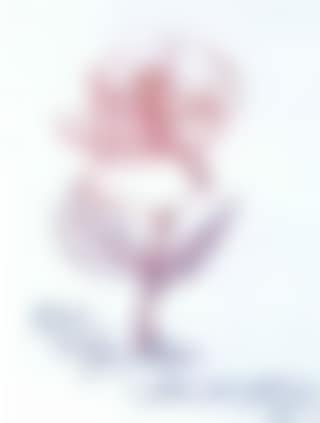 Une rose pour Roger (preview)