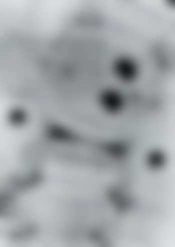 I vedenti. A denti stretti.Figure. (preview)
