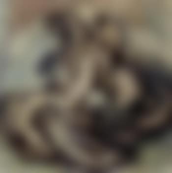 Rape of the Sabine women (preview)