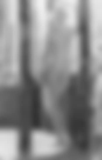 Nu dans l'atelier (preview)