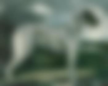 Portrait of an Irish Wolfhound (preview)