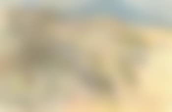 Field flowers and tree (preview)