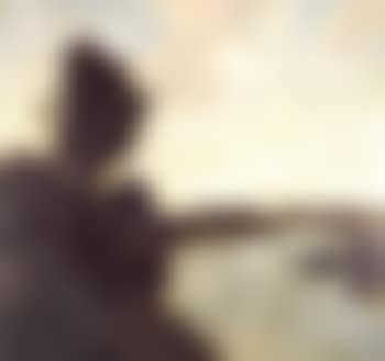 On the Haag (preview)