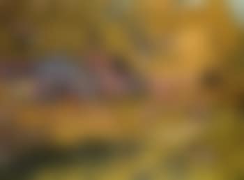 Studio in autumn (preview)