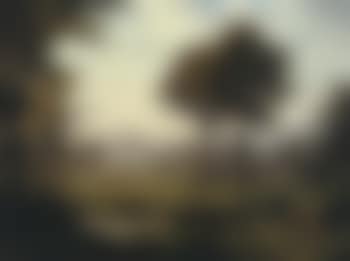 View towards Vitznauerstock (preview)