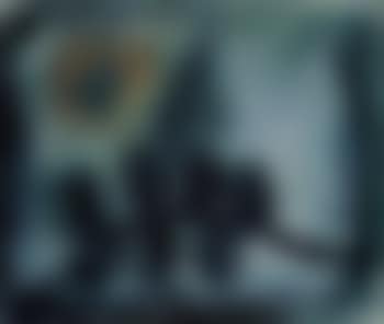Still life (preview)