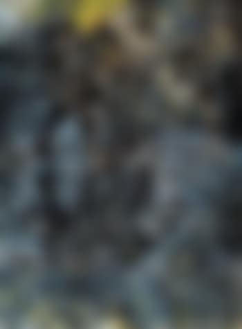 El perro (preview)