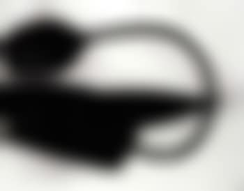 Black tulip (preview)
