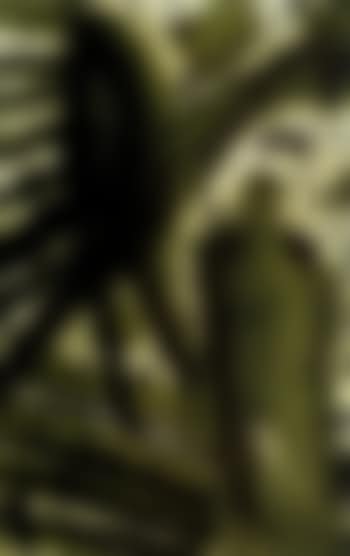 Star person (preview)