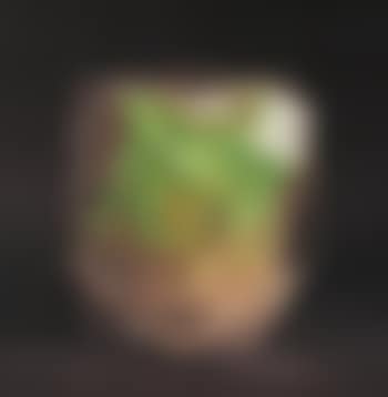 Compression (preview)