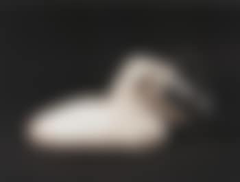 Milk jug (preview)