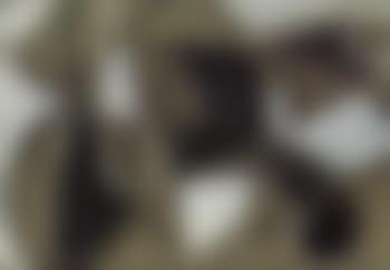 Abstract composition (preview)