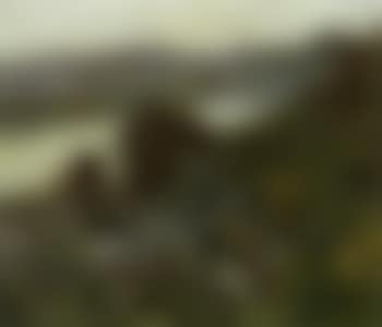 Autumn day on Donau-Wachau (preview)