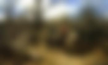 Huntsmen in forest (preview)