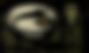 Nature morte (preview)