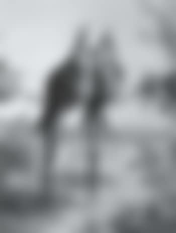 Honeymoon (preview)