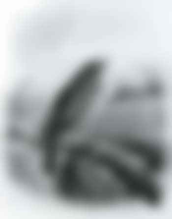Thrush. Blackbird (preview)