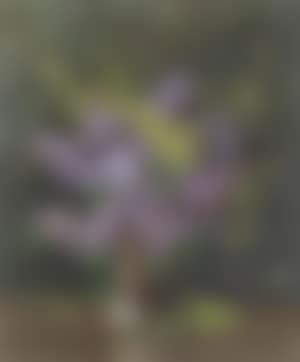 Still life of lilac and laburnum in a stoneware jug (preview)
