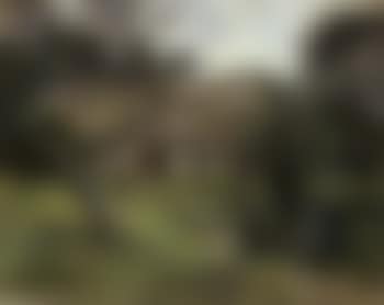 Apple orchard (preview)
