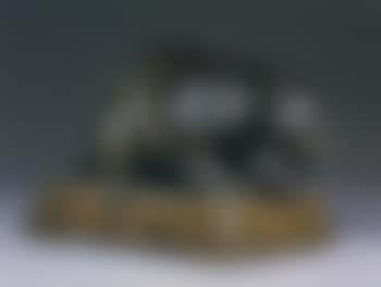 Jaguar accroupi (preview)
