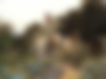 Beneath the overhanging eaves of thatch (preview)