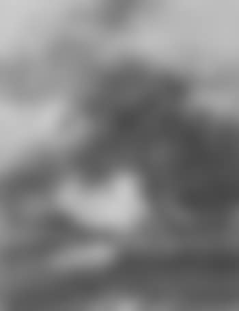 Track and trees (preview)