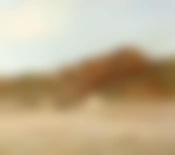 House in the dunes, Skagen (preview)
