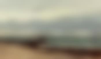 Fisherman gathering seaweed on Hornbaek beach (preview)