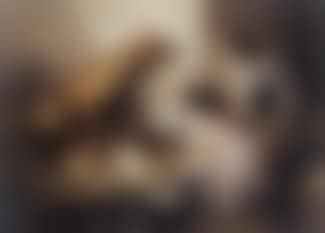 Seeing after the pups (preview)
