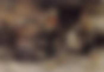 La famiglia felice (preview)