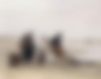 Fisherfolk (preview)