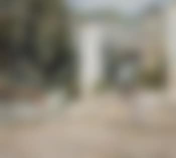 Garden at Capri (preview)