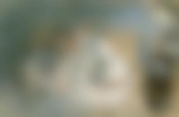 Nude on bed (preview)
